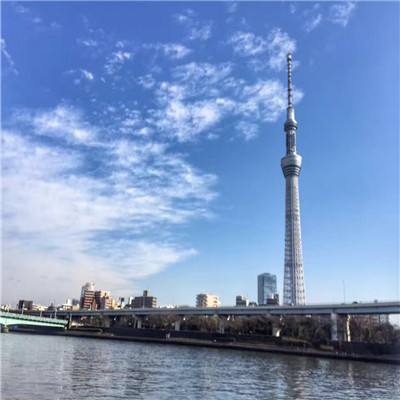 点数大对决官方版下载